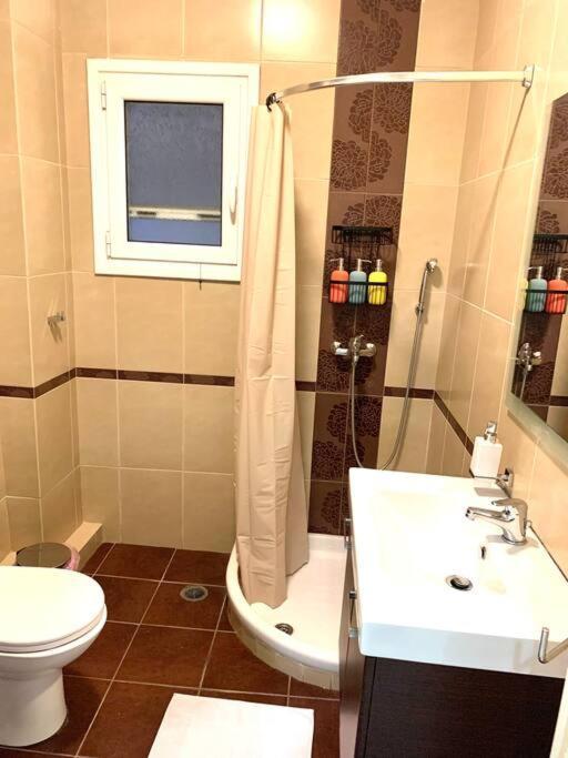 Spacious 4-Bedroom Family Home, 100M From Metro アテネ エクステリア 写真